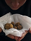 White truffles on a white cloth