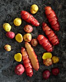 Root vegetables from the Andes (South America)