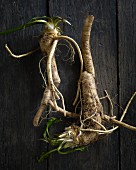 Horseradish roots on a wooden surface (seen above)