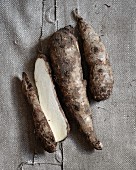 Arrowleaf elephant's ear roots (seen from above)