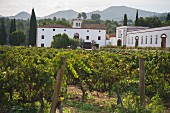 The Sumarroca winery (in El Penedes, Spain)