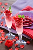 Gin cocktails with rose petals and mint