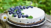 Unbaked yoghurt cake with blueberries