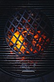 Glowing charcoal under a grill rack