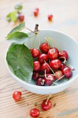 A bowl of cherries