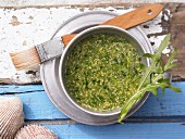 Rucola-Marinade