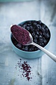 Acai berry powder on a spoon, with dried aronia berries in a bowl