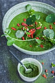 A green smoothie bowl with cress, wheatgrass powder, and goji berries (Superfood)