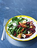 A salad with biltong, nectarines, watercress and feta cheese (South Africa)