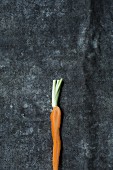 A baby carrot on a grey surface