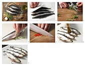 How to prepare rosemary sardines