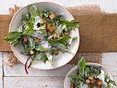 Dandelion salad with sour cream sauce and croutons