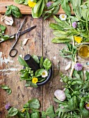 Zutaten für Pesto: frische Kräuter, Knoblauch und Olivenöl
