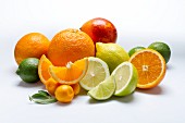 An arrangement of citrus fruits on a white surface