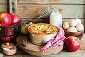 A sponge apple cake in a cake tin surrounded by ingredients