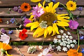 Various flowers on wooden boards