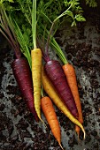 Assorted organic carrots