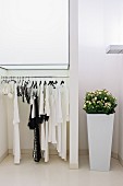 Clothes rack and tall planter in white interior