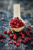 Red peppercorns on a wooden spoon