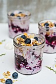 Blueberry dessert in a glass jar (vegetarian)