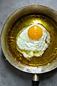 An egg fried in olive oil