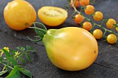 Japanese yellow triefele tomatoes