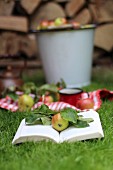 A book and wild apples on grass in front of a pile of logs