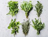 Six bunches of herbs on marble countertop: basil, spinach, rosemary, mint, thyme, rucola