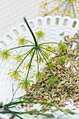 Fennel seeds and flowers on a ceramic plate