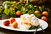 Kardinalschnitte (Austrian sponge cake, meringue and mousse slice) with apricots