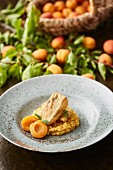 Salmon trout fillet with chickpeas and apricots
