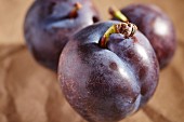 Fresh black plums (close-up)