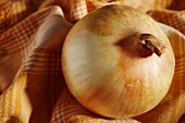 A sweet onion from Pennsylvania, USA