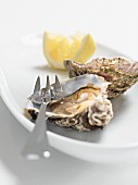 Oysters with lemon