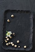 White hellebore flower and snail shells on black tray