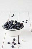 Blueberries in an enamel bowl