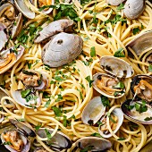 Spaghetti alle Vongole Seafood pasta with clams close up