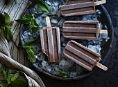 Ceamy chocolate mint popsicles (vegan)