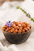 Pinto beans with a borage flower in a wooden bowl
