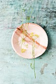 Edible fennel flowers on plate (top view)