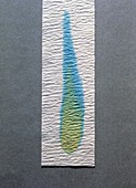 Paper chromatogram of food colouring