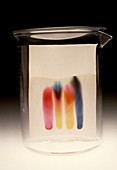 Paper chromatography of dyes