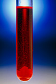 Red saturated solution in test tube