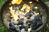 Charcoal Bricketts Burning