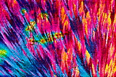 TNT crystals,light micrograph