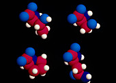 Four different amino acid molecules
