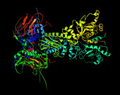 Heat Shock Protein 90 in a Larger Protein