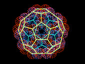 Buckminsterfullerene molecule