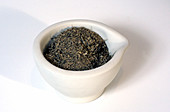Ground Blue Cohosh Root