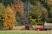 Corn Harvest in Vermont